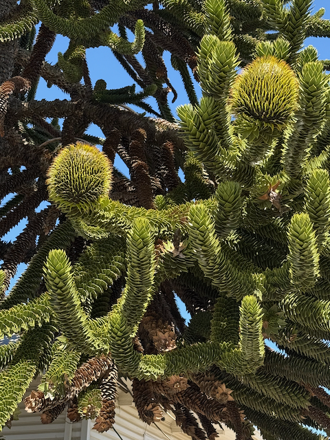 Day 3 [Wednesday, December 10th]