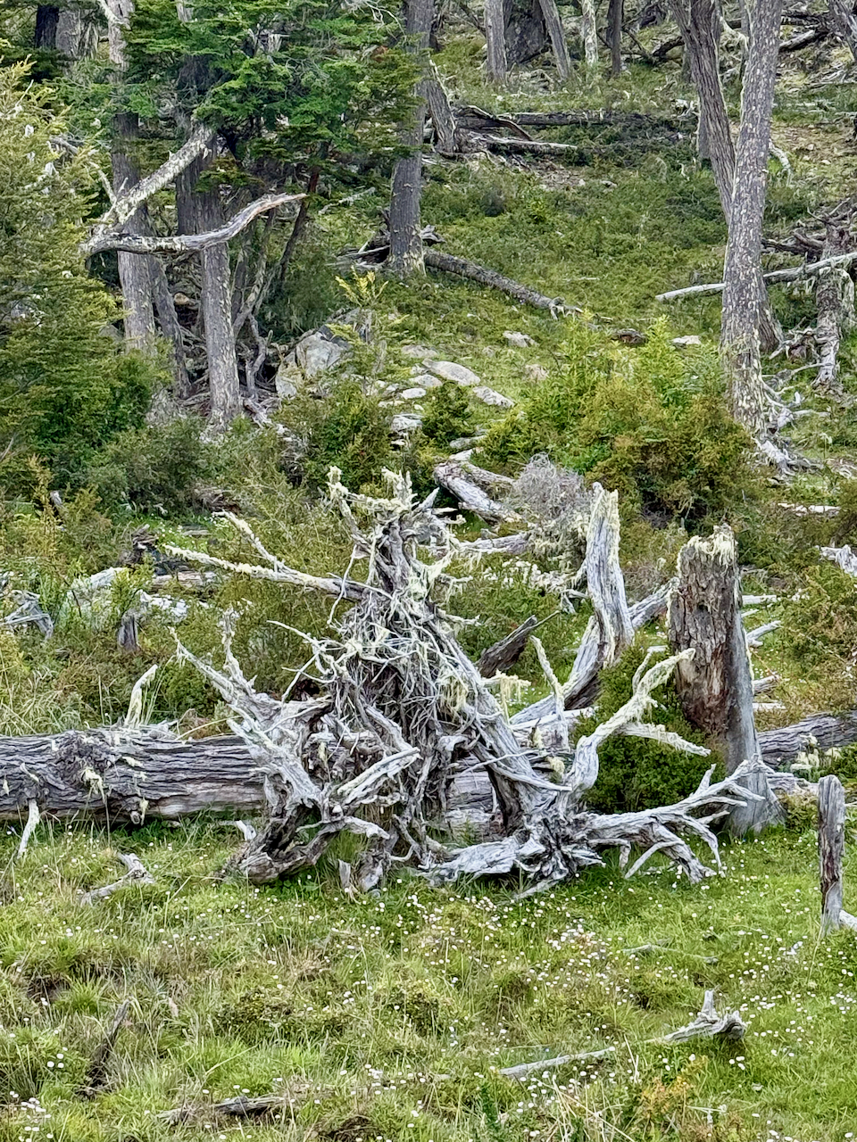 Public Conference: When the Extreme Becomes the Norm